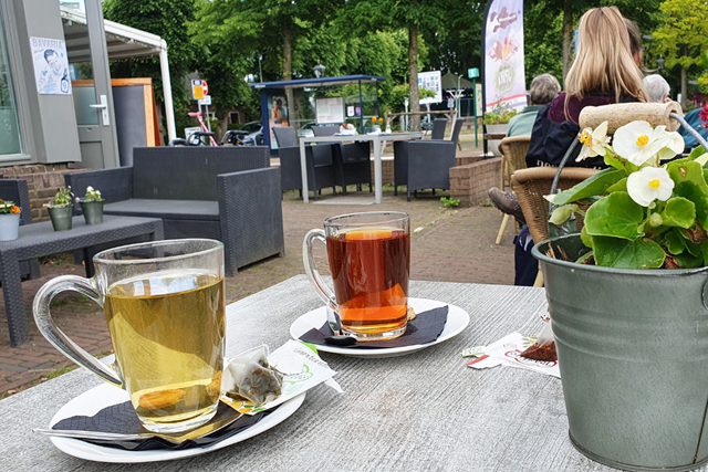 NS Wandeling Utrechtse Heuvelrug Station Austerlitz