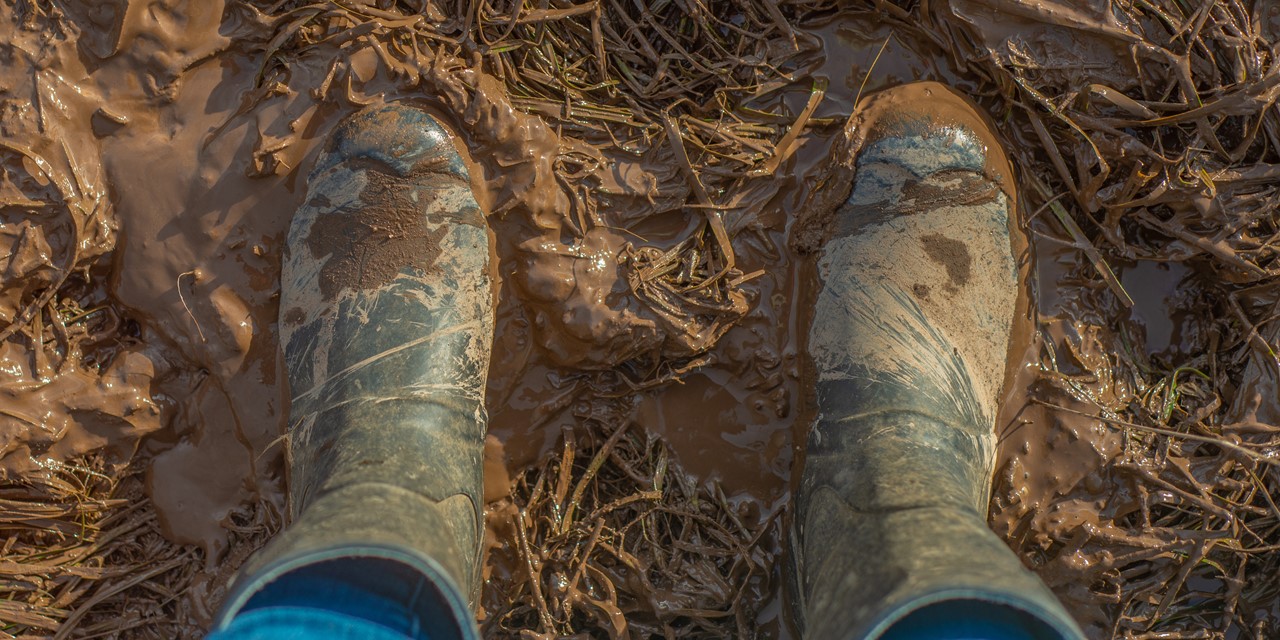Beoefend Ellende verschil 8 laarzenpaden waarop je door de modder kunt banjeren - Wandel