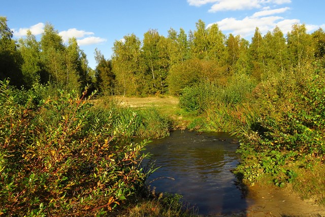 Ruiten Aa, water en groene natuur bij Ter Apel.