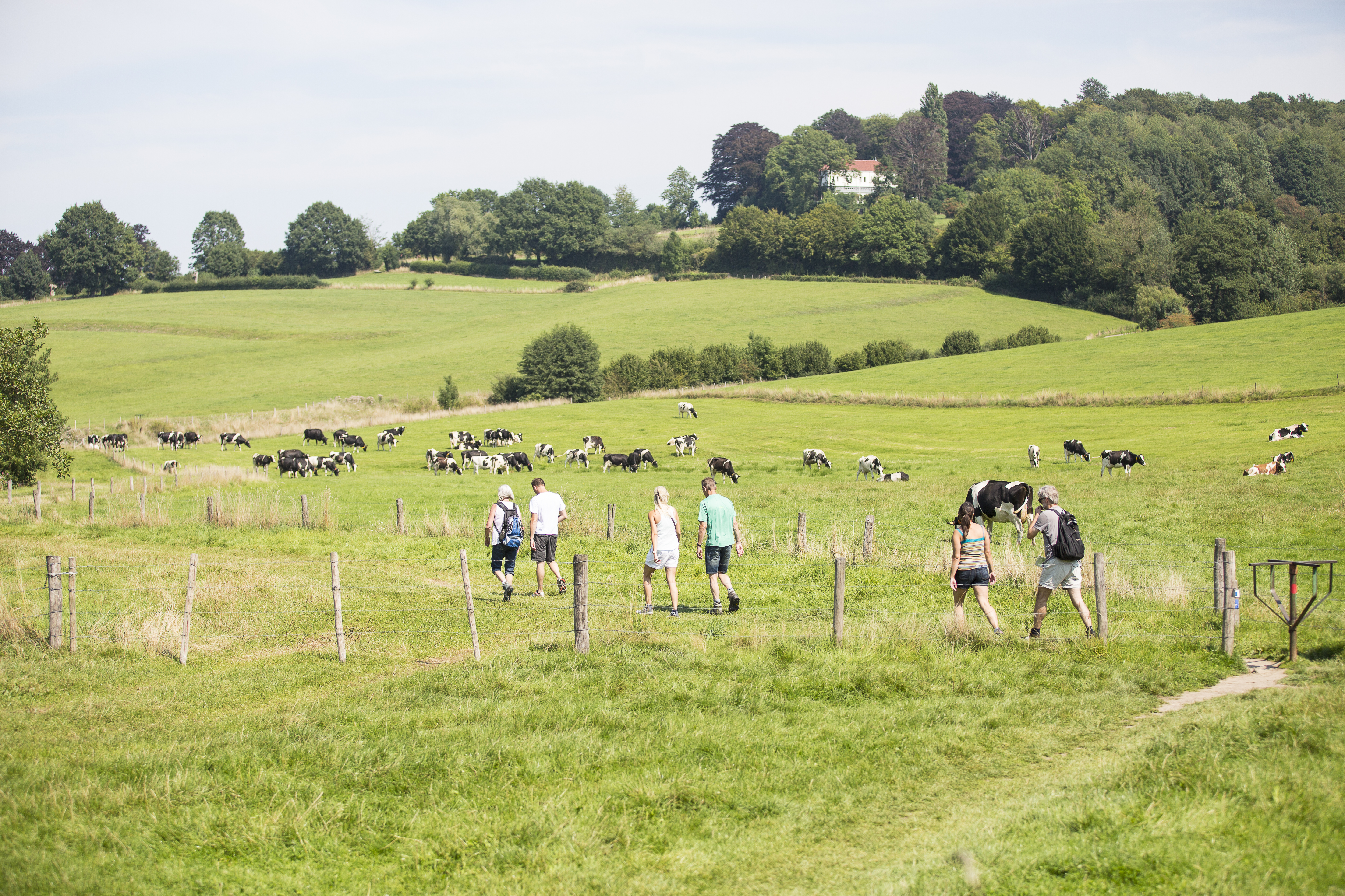 Wandelen door Zuid-Limburg