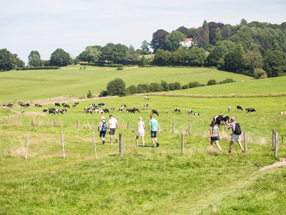 Wandelen door Zuid-Limburg