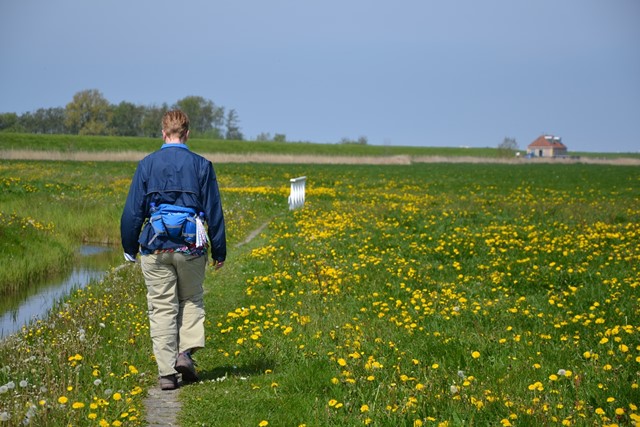 Wandelen bij Workum