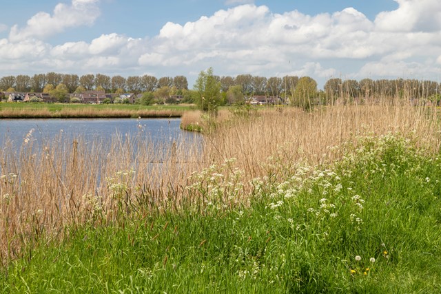 Wandelen in de kleinste steden in Nederland; Eembrugge, Baarn.