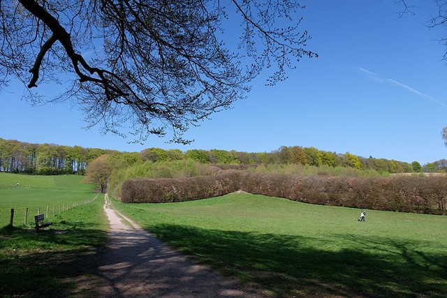 De Groene Bedstee