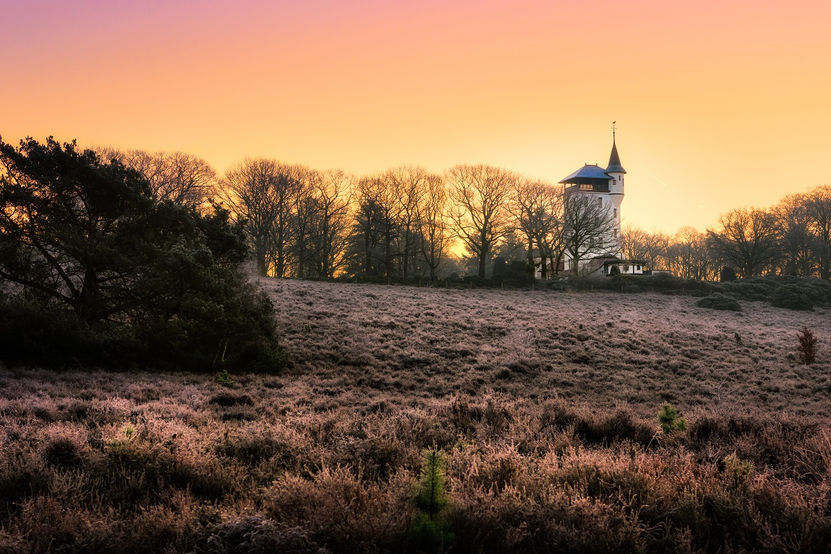 De Sallandse Heuvelrug 