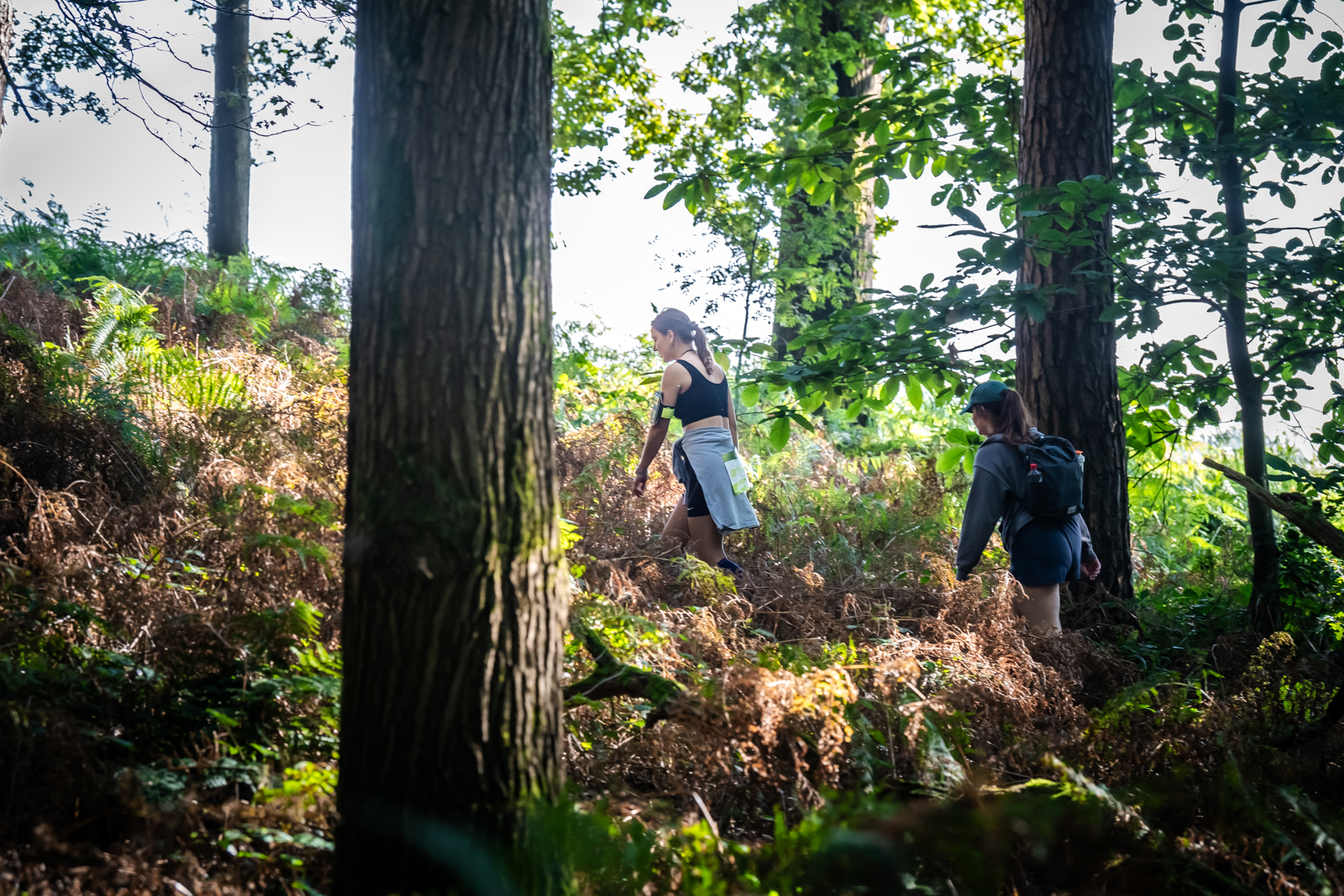 Zevenheuvelenhike