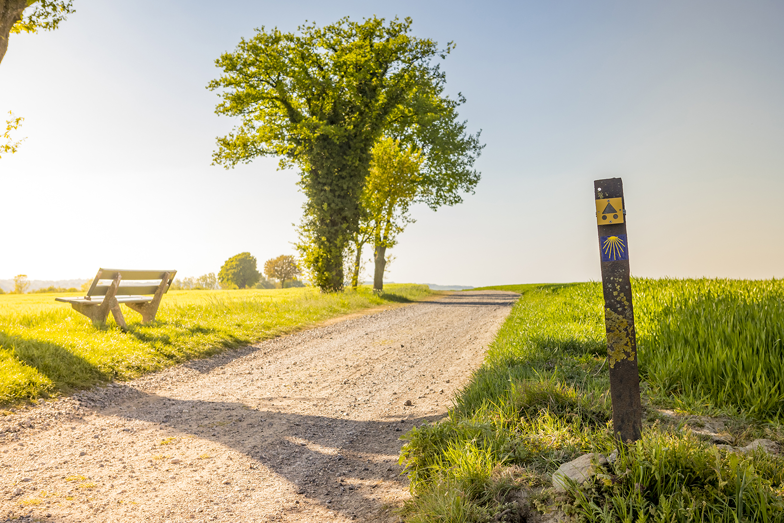 Camini in Zuid-Limburg