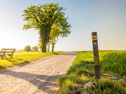 Camini in Zuid-Limburg