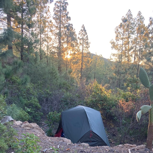afbeelding van een tentje middenin de natuur van Tenerife.