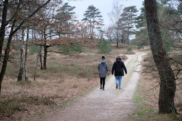 afbeelding van twee wandelaars in de natuur.