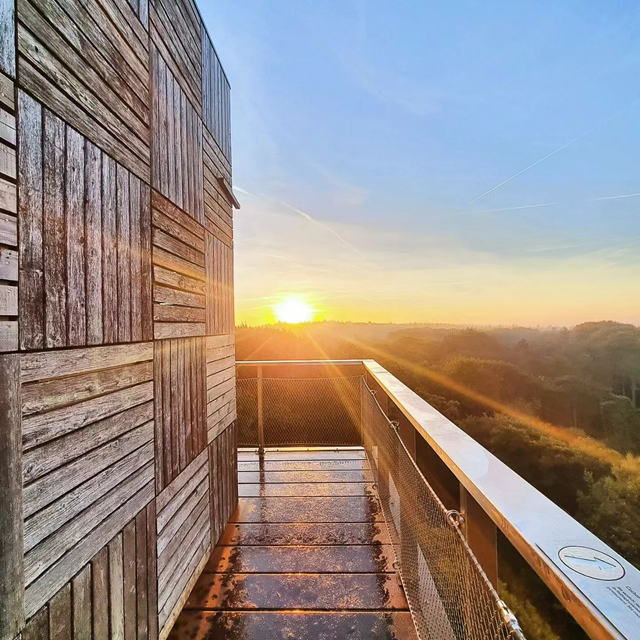 Uitkijktoren De Kaap tijdens een wandeling door de Kaapse Bossen