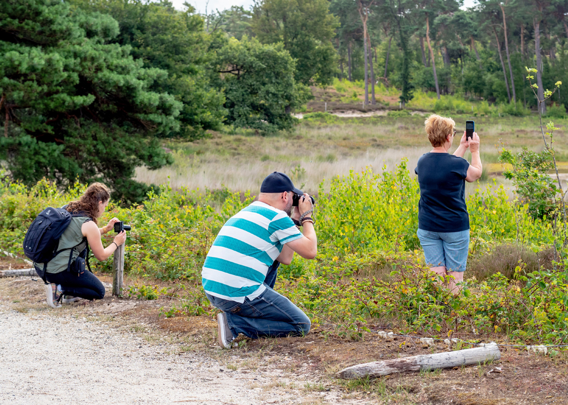 afbeelding van deelnemers aan een fotografieworkshop in de natuur.