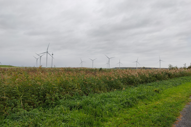 Wandelroute Pampushout Scheepswrakkenroute Zuiderzeeparel