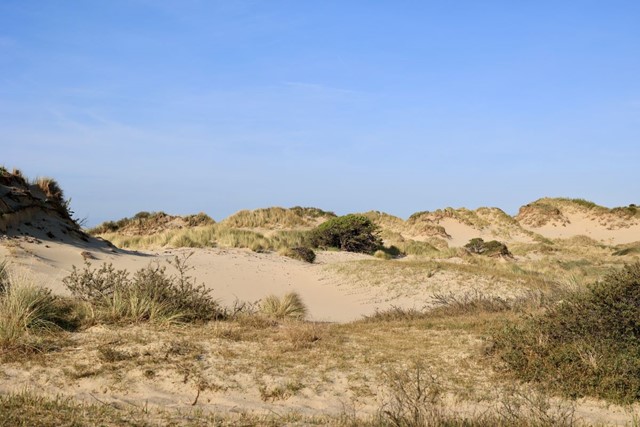 zandduinen met een beetje gras tegen een blauwe lucht.