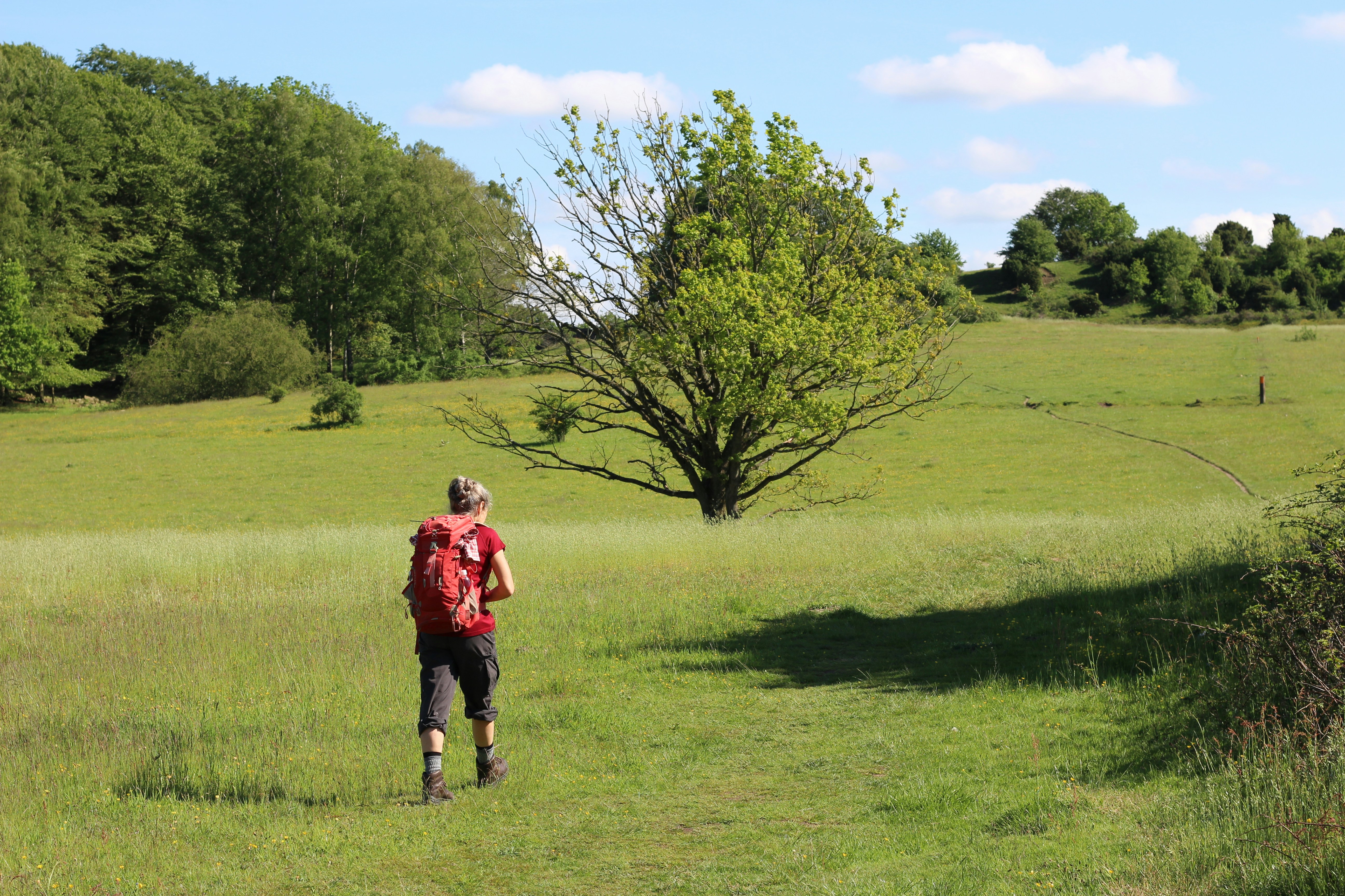Wandelaar in veld met blote benen