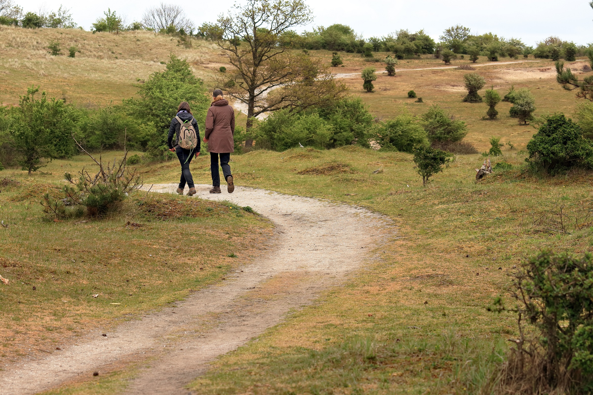 Header | 5-tips-om-gemotiveerd-te-blijven