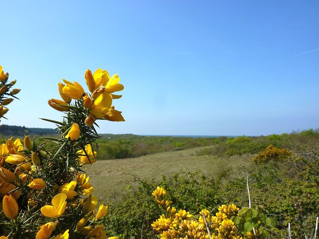 Oranjezon