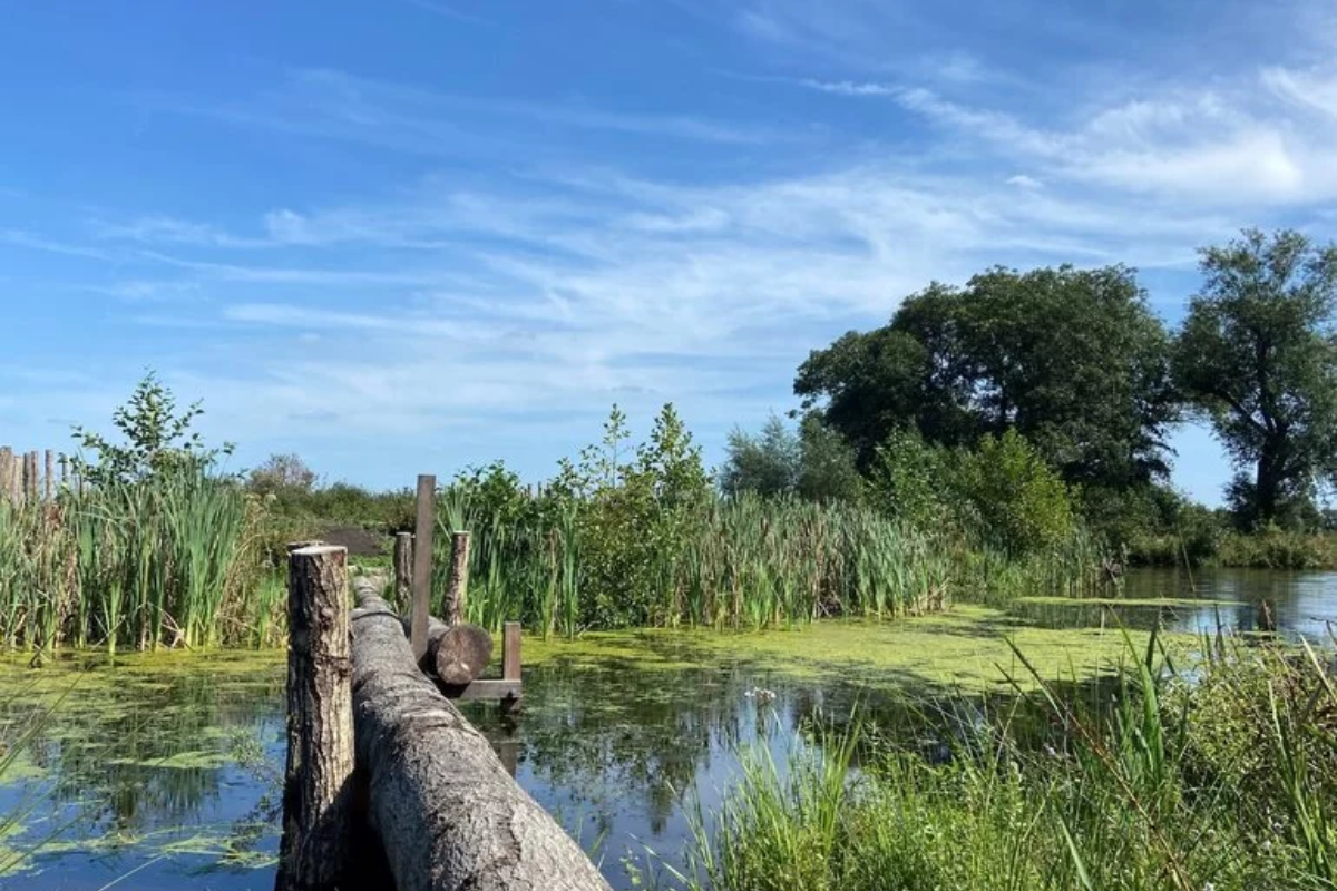 Blotevoetenpad Kamerik 'T Groene Hart (Buitenplaats Kameryck)