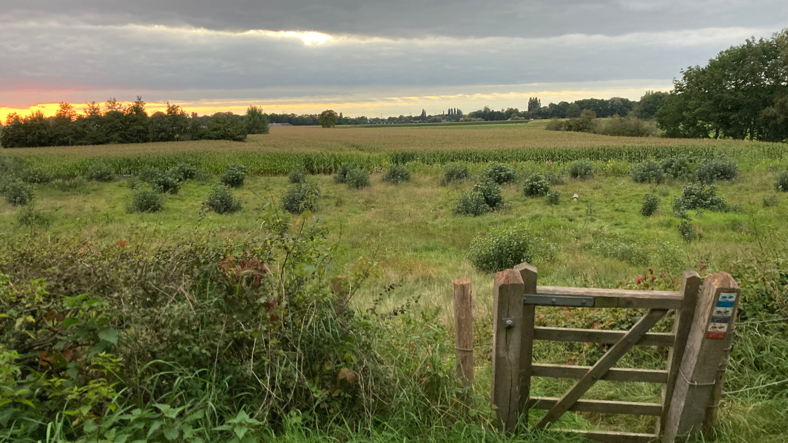 Wandelroute Klompenpad Tuylermarkerpad
