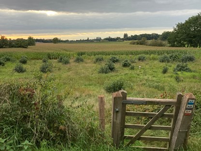 Wandelroute Klompenpad Tuylermarkerpad