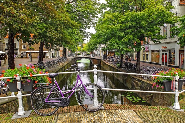 Delft | Arboretum | Oranjestad