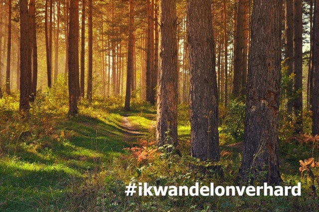 Campagne onverhard wandelen