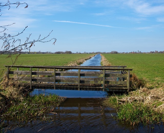 Bruggetje in de Polder bij Kamerik