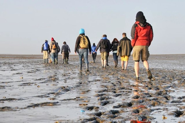 7X De Leukste Wandelexcursies Op Texel: Wadstruun Rexel