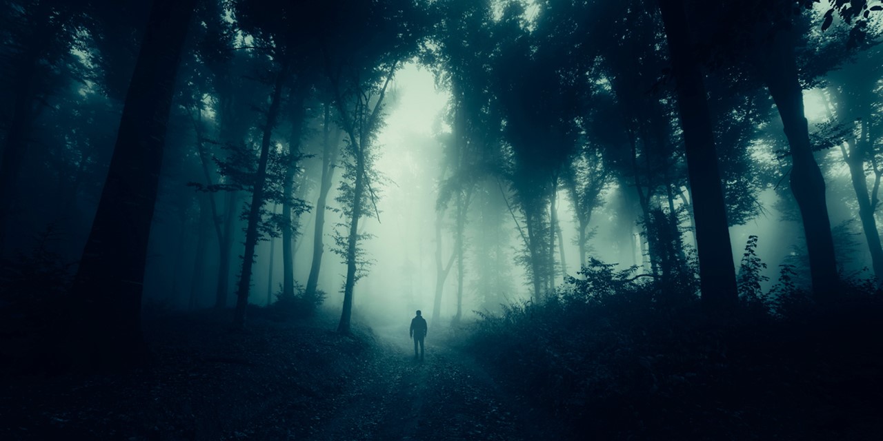 afbeelding van een wandelaar in een donker bos.