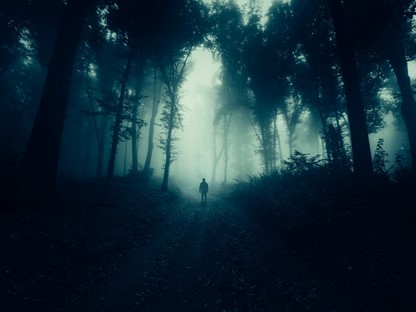 afbeelding van een wandelaar in een donker bos.