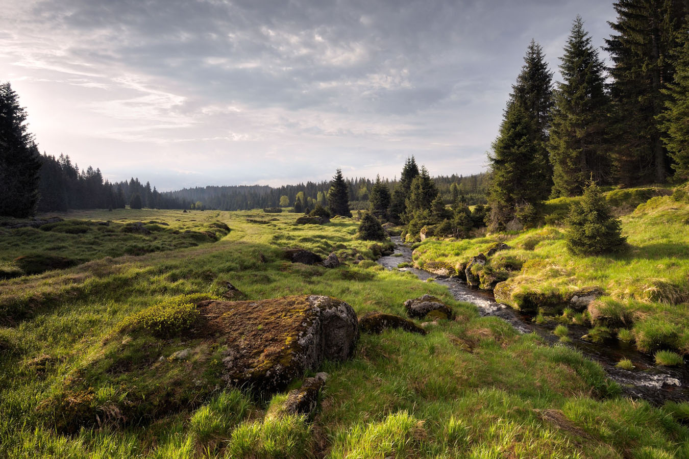 afbeelding van het groen en een beekje in Sumava.
