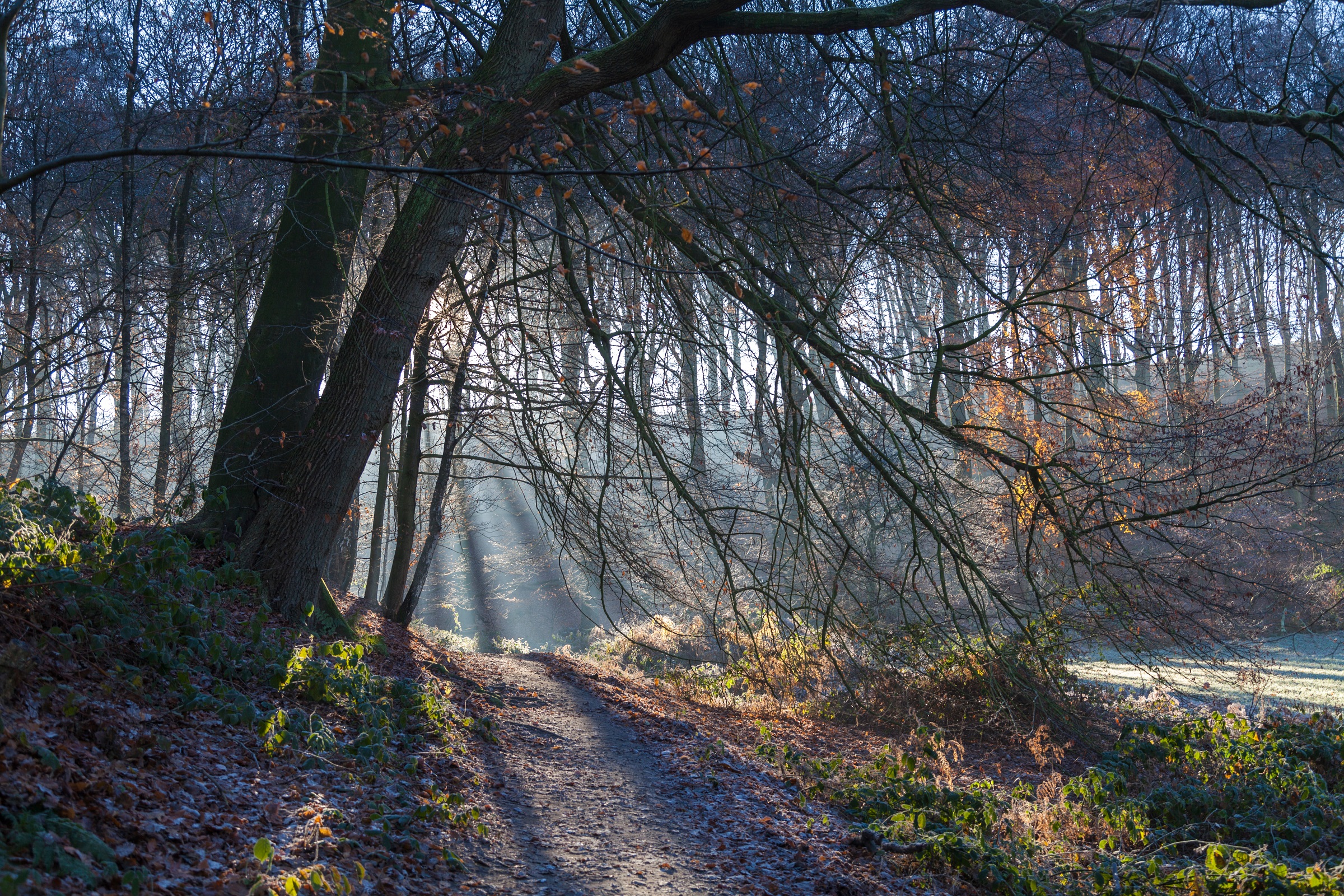 Wandelen Nijmegen