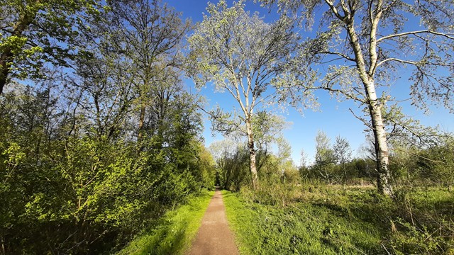 Afbeelding Het Lingebos