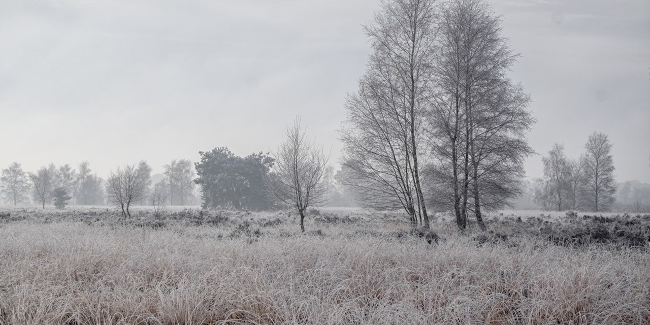 Winters landschap in Zwillbrock.