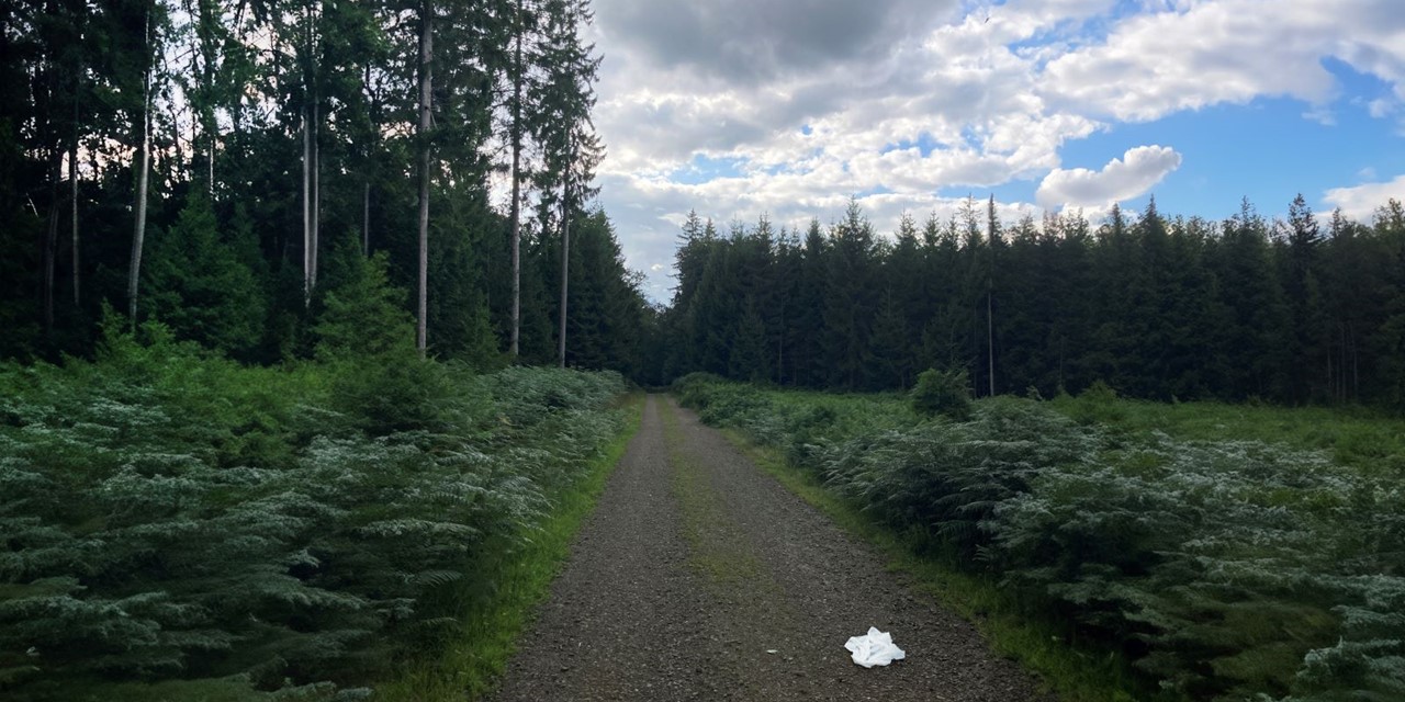 Wandelwoorden Deel 3 Witte Vlag: Pad Bos