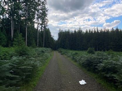 Wandelwoorden Deel 3 Witte Vlag: Pad Bos
