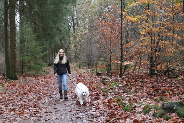 afbeelding van Trinke die wandelt met haar hond in het bos.