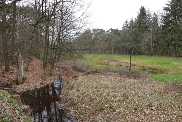 Deze 6 Klompenpaden Wil Je Niet Missen Sfeervol Wandelen Door Beekdalen Op Het Molenbeeksepad In Wolfheze