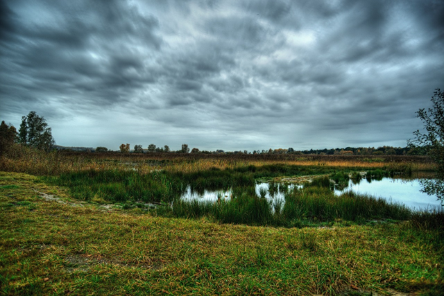 Het Dommelpad Watermolenroute Etappe 2 Pelt Dommelen Hageven