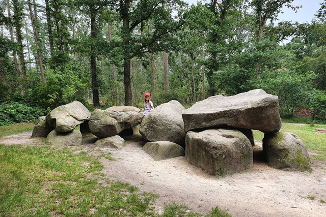Wandelen In De Ijstijd De Hunebedden Van Borger; Hunebed D25