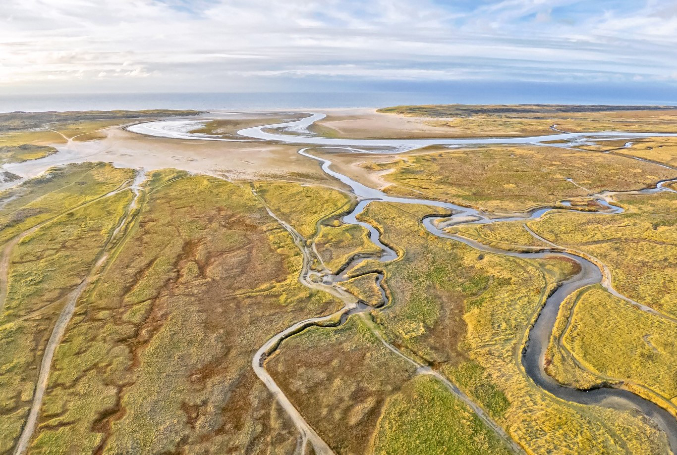 Slufter (Afbeelding: Justin Sinner)