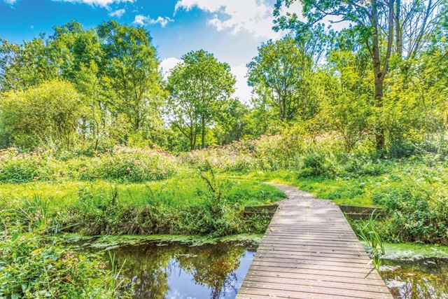 De Loetbosroute