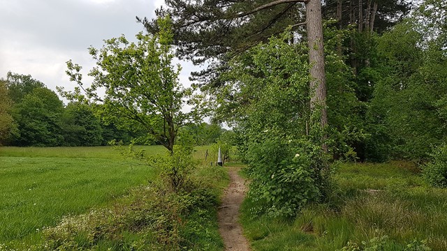 De omgeving van Teuven