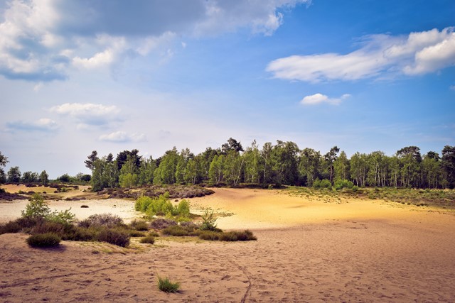 Nationaal park De Maasduinen