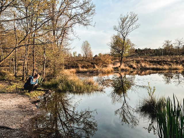 wandelaar aan het water bij de heide.