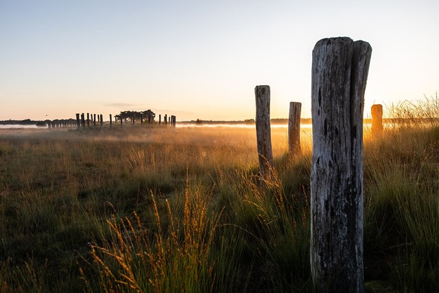 De Regte Heide, op de route van het Oranje-Nassaupad