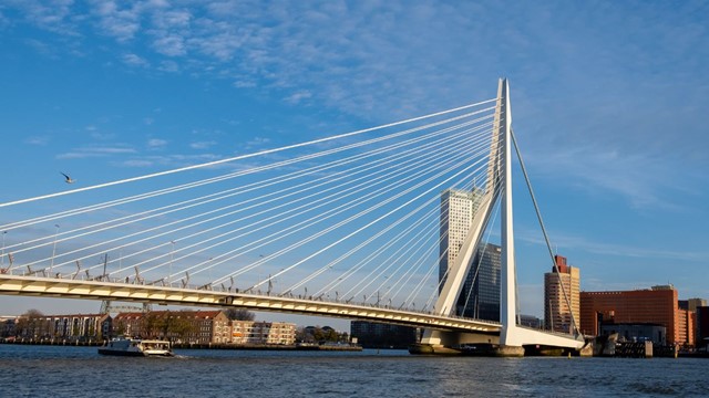 afbeelding van de Erasmusbrug tegen een blauwe lucht.