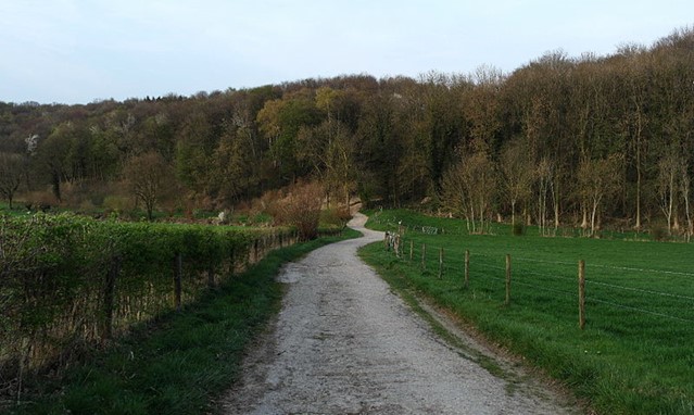 Gerendal