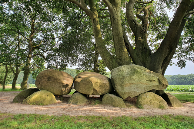 Wandelen In De Ijstijd De Hunebedden Van Borger; Hunebed D21