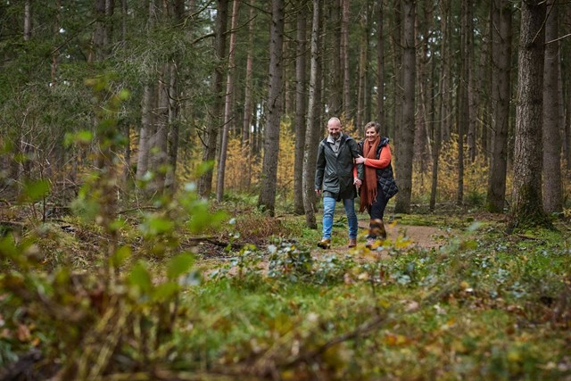 Wandelen door een herfstig bos
